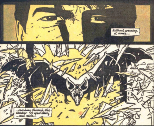 Aniversarios: 30 años de Batman Año Uno - Zona Negativa