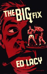 Denis McLoughlin – The big fix coverZN