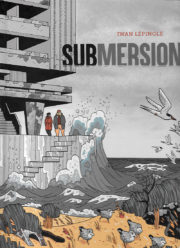 IL Submersion coverZN